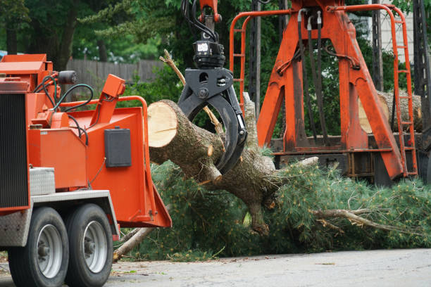 Best Lawn Mowing  in Greenville, KY