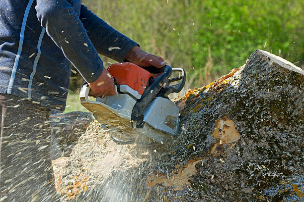 Mulching Services in Greenville, KY