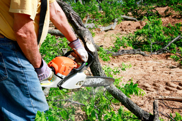 Best Lawn Irrigation Installation and Maintenance  in Greenville, KY